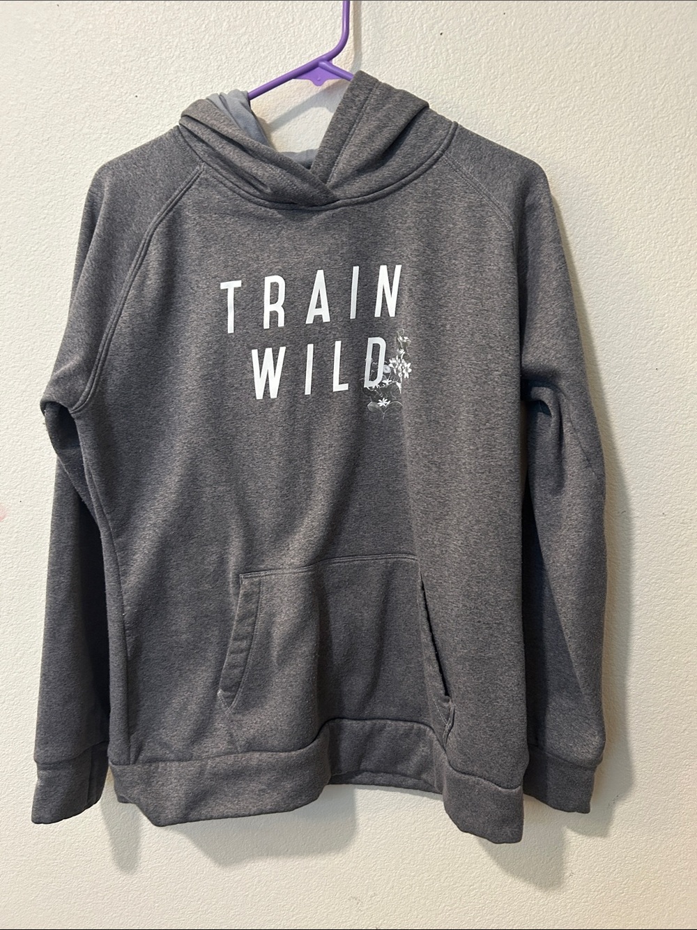 The North Face Gray 'Train Wild' Pullover Hoodie